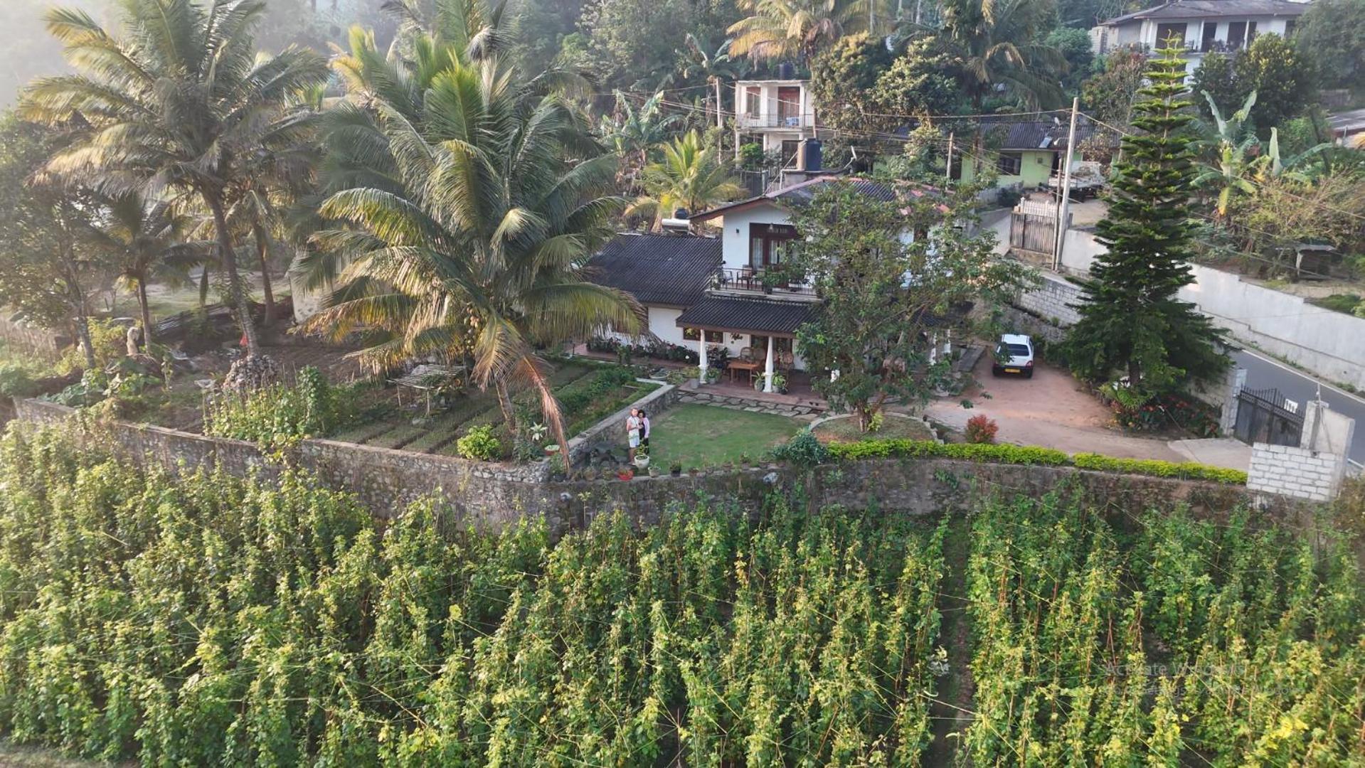 Ella Nature Valley Homestay Eksteriør bilde